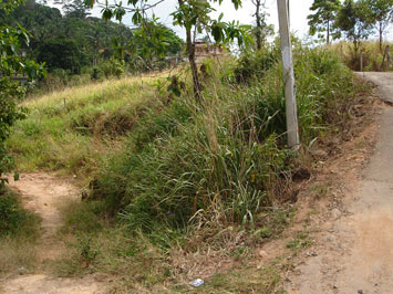 Kandy land for sale..
