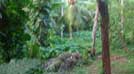 Colombo Region Lands for Sale