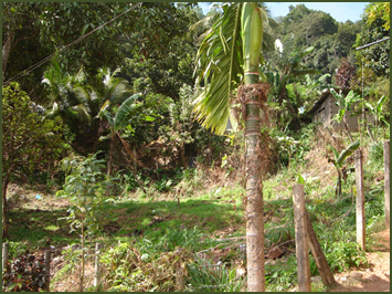 Sri Lanka Real Estate - Land House sale