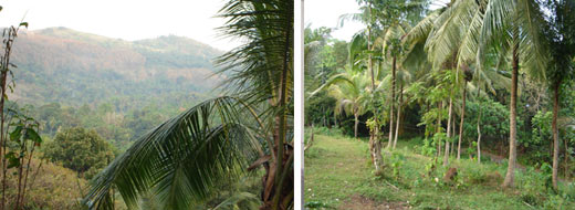 Sri Lanka Real Estate - Houses for Sale