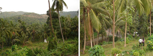 Sri Lanka Property for Sale - Kegalla