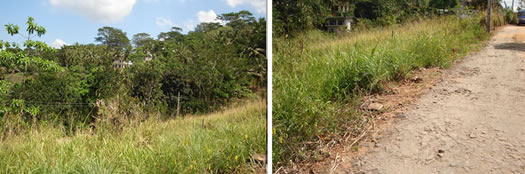 Kandy land for sale.
