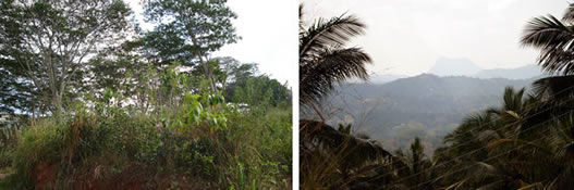 Kandy land for sale.