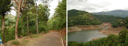 Kandy Region Land for Sale