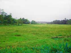 Amarasinghe Enterprises for Building construction  Sri Lanka