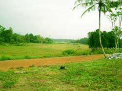 Amarasinghe Enterprises for Building construction  Sri Lanka